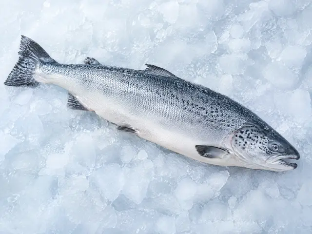 Frozen Whole Salmon – 4–5 kg
